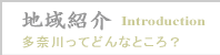 �n��Љ�